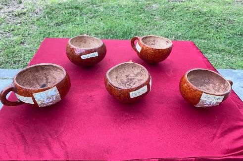 Gelas Tempurung Kelapa